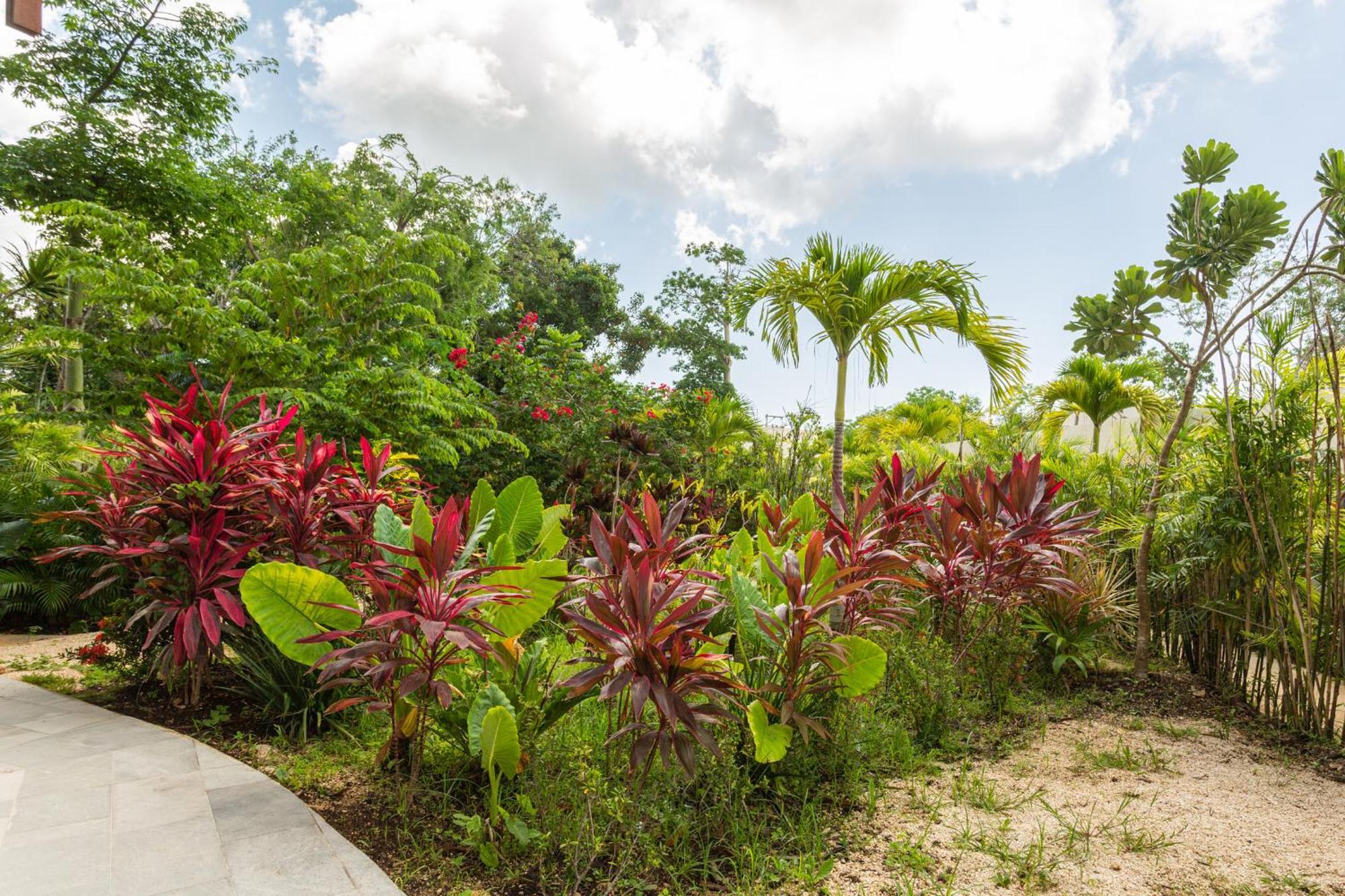 Mistiq Gardens Luxury Condos Tulum Chambre photo