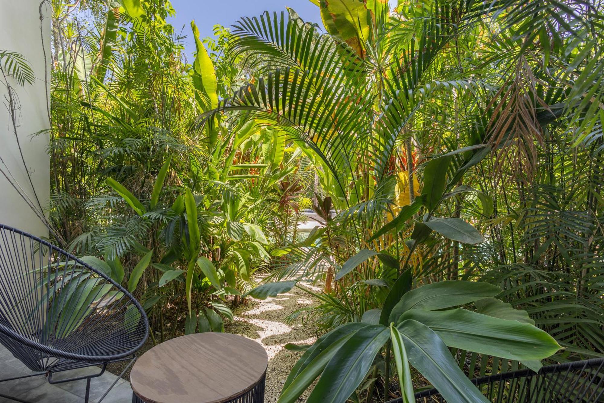 Mistiq Gardens Luxury Condos Tulum Extérieur photo