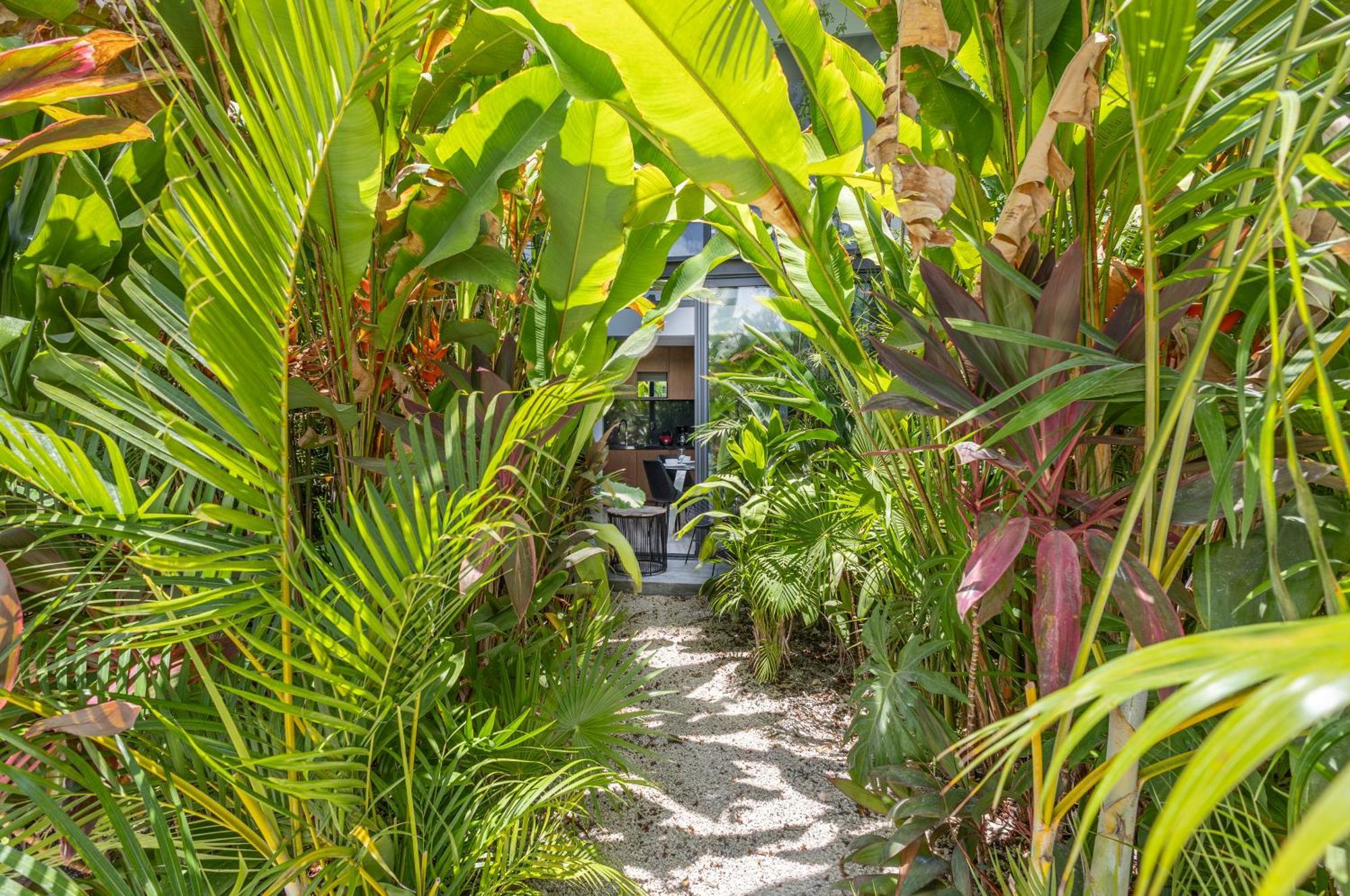 Mistiq Gardens Luxury Condos Tulum Chambre photo